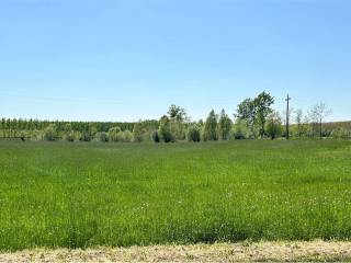 Terreno agricolo in vendita a gaiarine via roma, 1