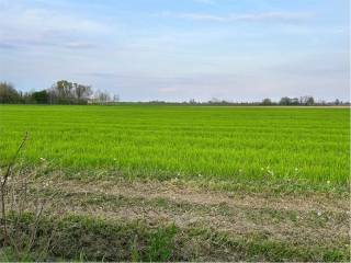 Terreno agricolo in vendita ad azzano decimo via roma1