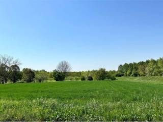 Terreno agricolo in vendita a prata di pordenone via roma, 1