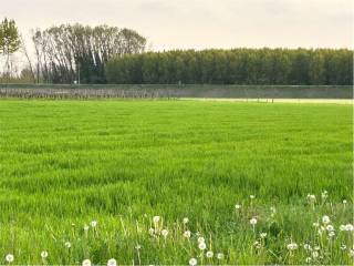 Terreno agricolo in vendita a prata di pordenone via roma, 1