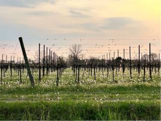 Terreno agricolo in vendita a sacile via roma, 1