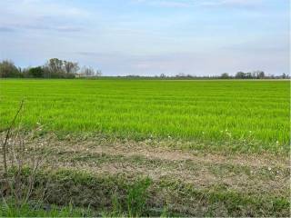 Terreno agricolo in vendita a prata di pordenone via roma, 1