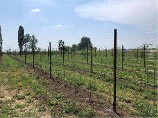 Terreno agricolo in vendita a sacile via roma, 1