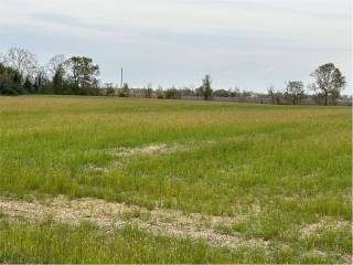 Terreno agricolo in vendita ad aviano via roma , 1