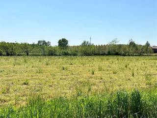 Terreno agricolo in vendita a prata di pordenone via roma, 1