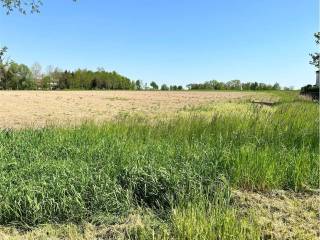 Terreno agricolo in vendita ad azzano decimo via roma, 1