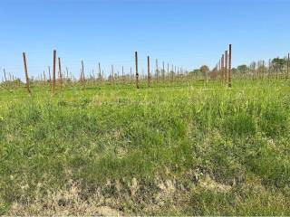 Terreno agricolo in vendita ad aviano via roma, 1