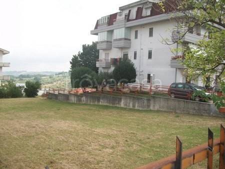 immagine annuncio 12 di 13