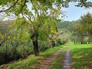 Terreno agricolo in vendita a calenzano via delle cantine