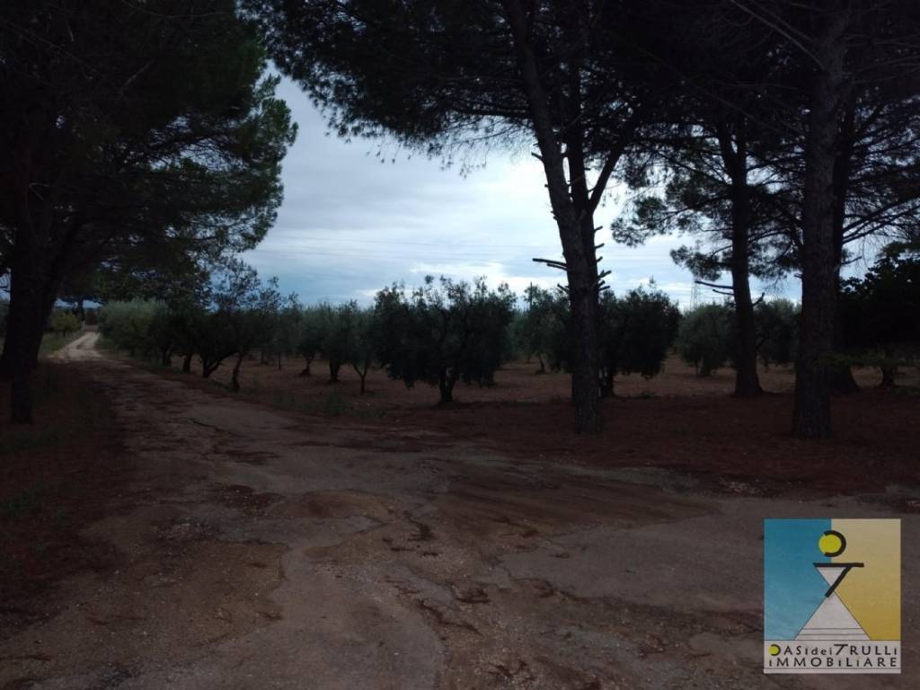 immagine annuncio 11 di 13