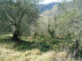 Terreno agricolo in vendita a stellanello sp13