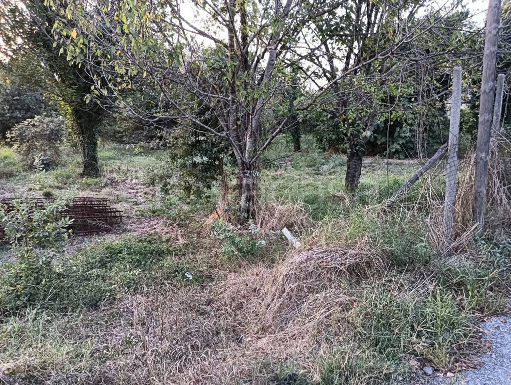 immagine annuncio 13 di 14