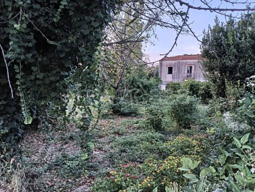 immagine annuncio 7 di 14