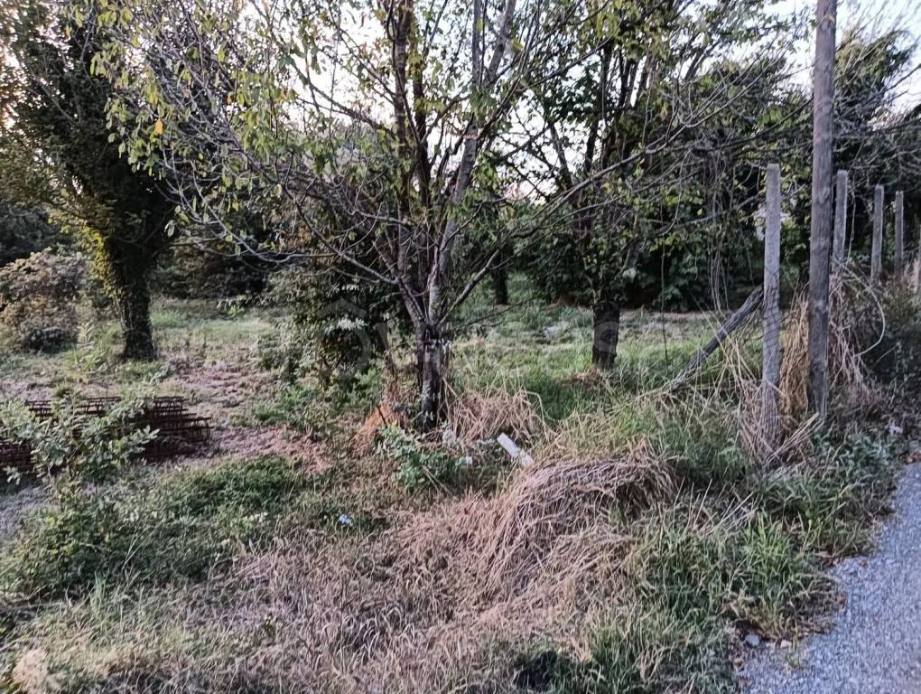 immagine annuncio 8 di 14