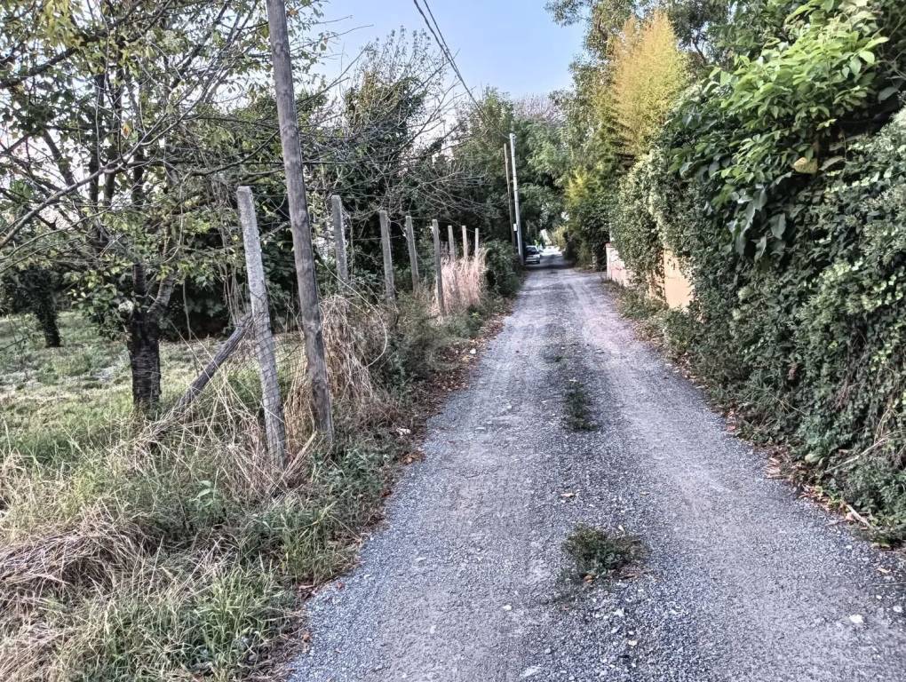 immagine annuncio 11 di 14