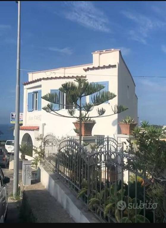 immagine annuncio 5 di 6