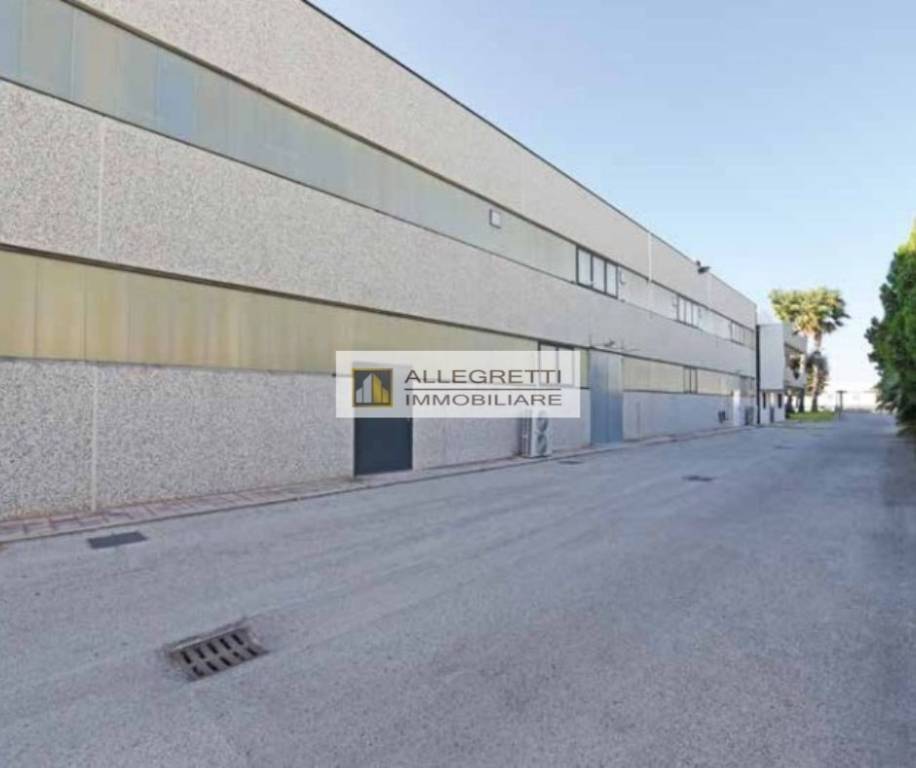 immagine annuncio 7 di 13