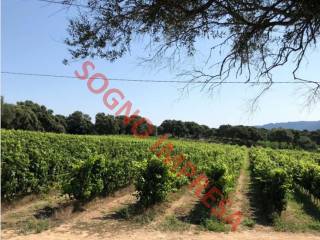 Terreno agricolo in vendita a forlì via dei sabbioni