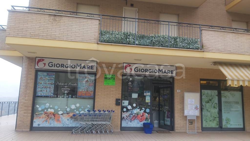 immagine annuncio 2 di 14