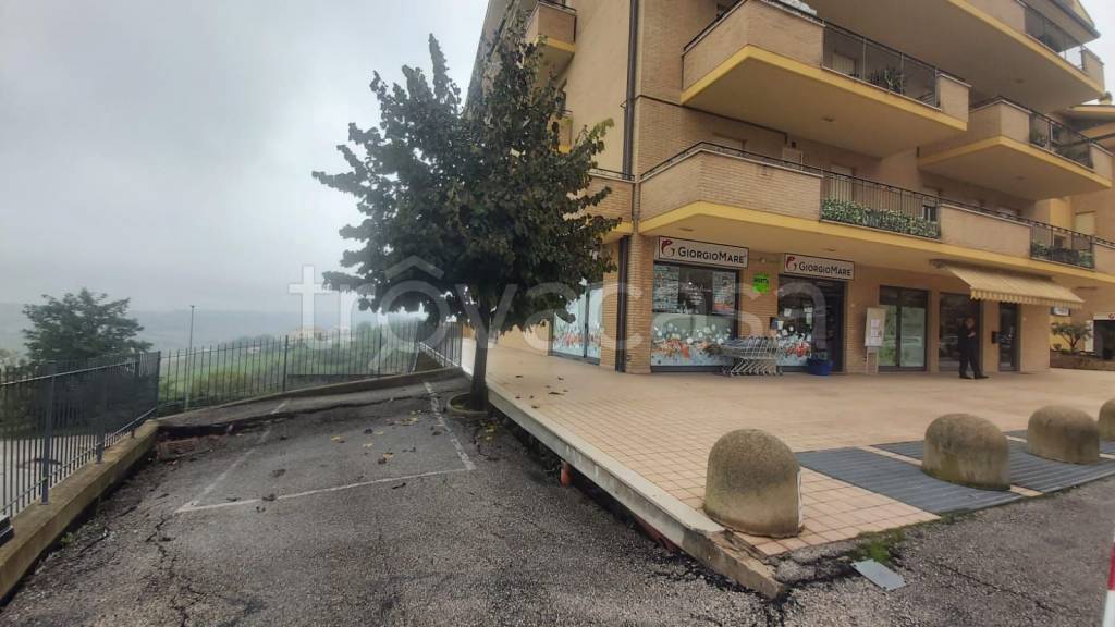 immagine annuncio 4 di 14