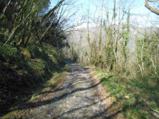 Terreno agricolo in vendita a stellanello sp13