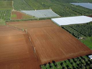 Terreno agricolo in vendita a cisterna di latina via leone xii