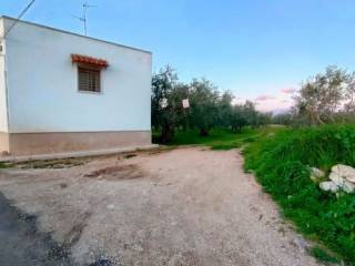 Terreno agricolo in vendita a bitonto palombaio