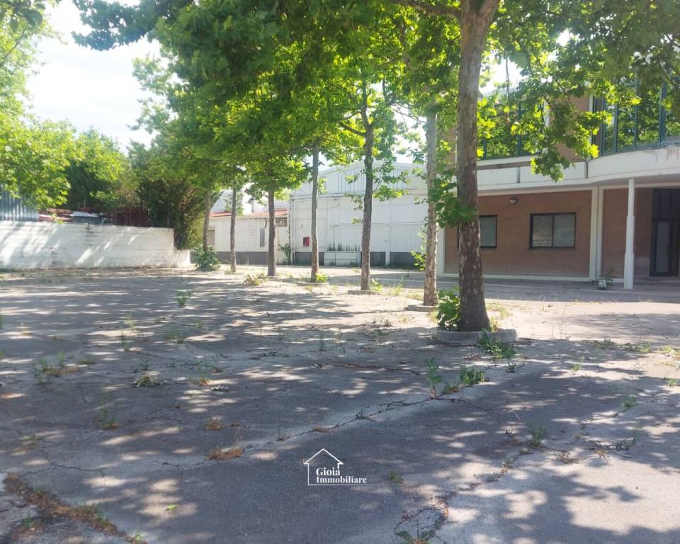 immagine annuncio 1 di 14