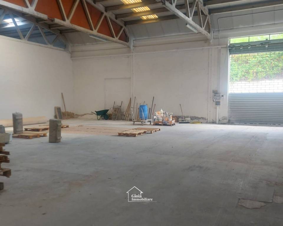 immagine annuncio 6 di 14