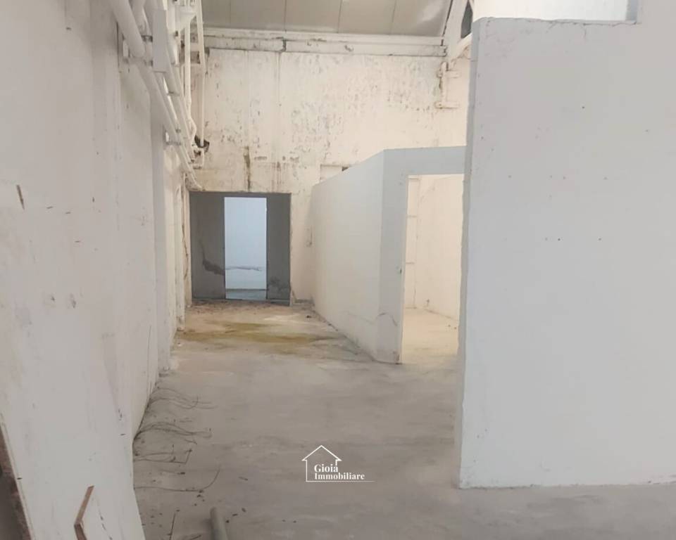 immagine annuncio 9 di 14