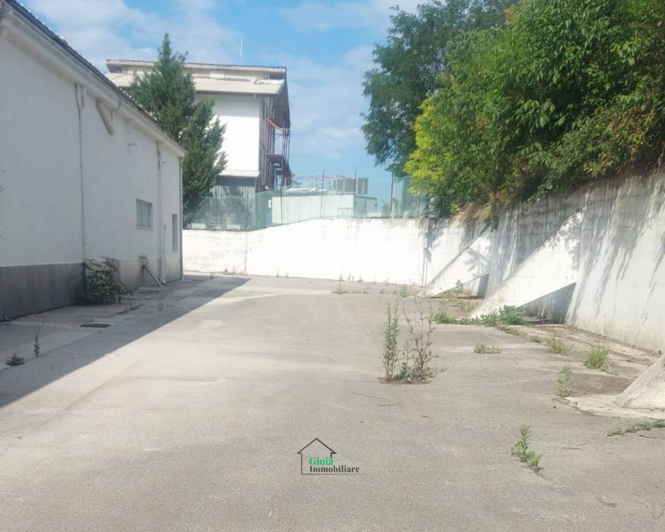 immagine annuncio 10 di 14