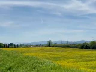 Terreno agricolo in vendita a prato via della macchiola