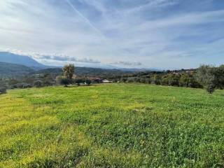 Terreno agricolo in vendita a gesualdo contrada castiglione