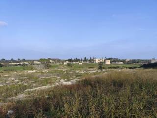 Terreno agricolo in vendita a carpignano salentino via degli eroi