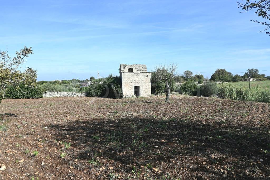 immagine annuncio 9 di 14
