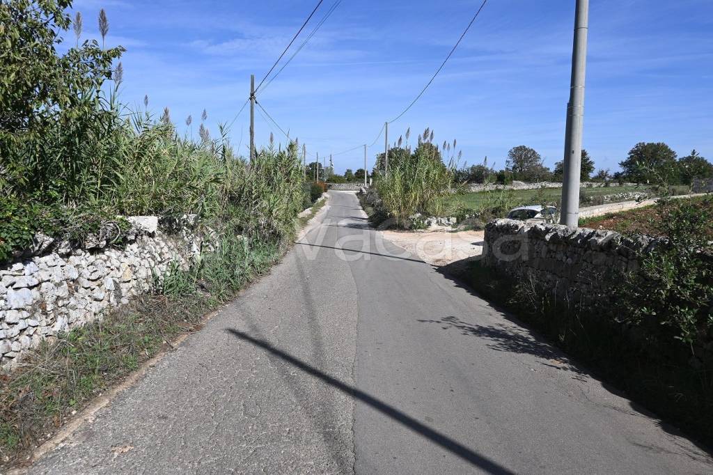 immagine annuncio 11 di 14