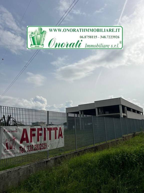 immagine annuncio 7 di 9