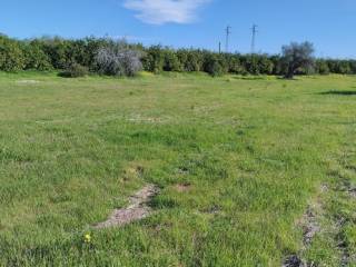 Terreno agricolo in vendita ad augusta zona industriale