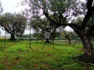 Terreno commerciale in vendita a lanuvio via scassati, 32