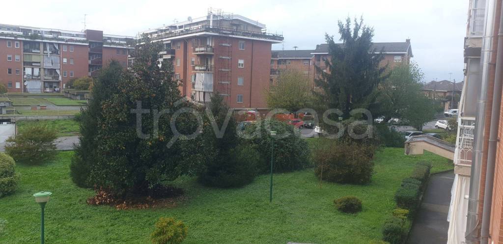 immagine annuncio 9 di 12
