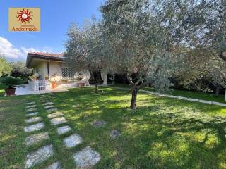 Villa in affitto a forte dei marmi via francesco carrara