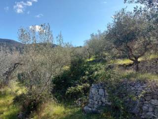 Terreno agricolo in vendita a campello sul clitunno via delle torrette