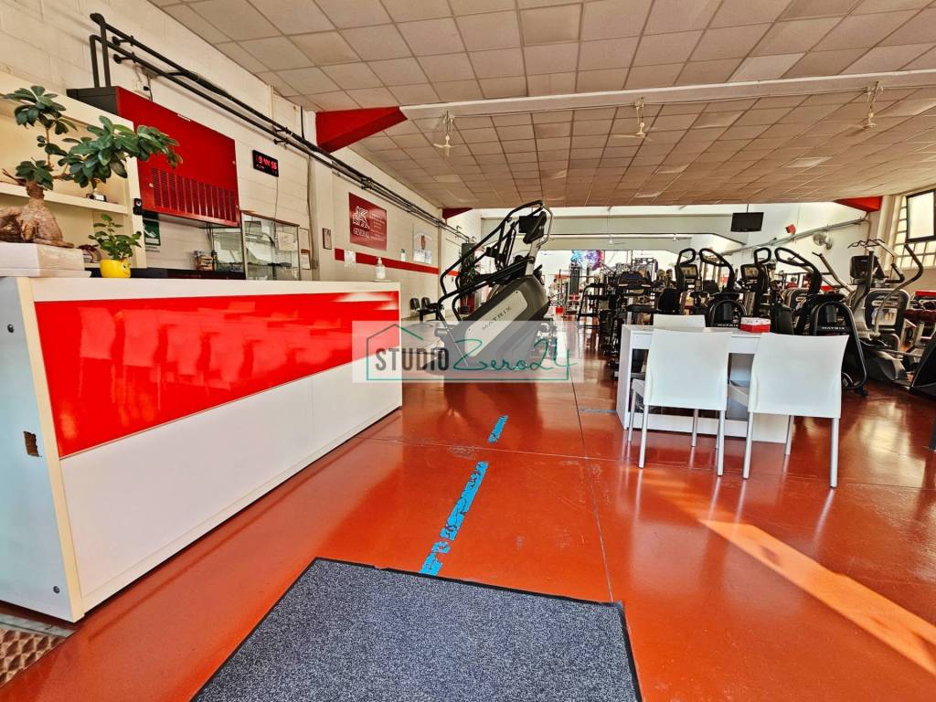 immagine annuncio 3 di 14