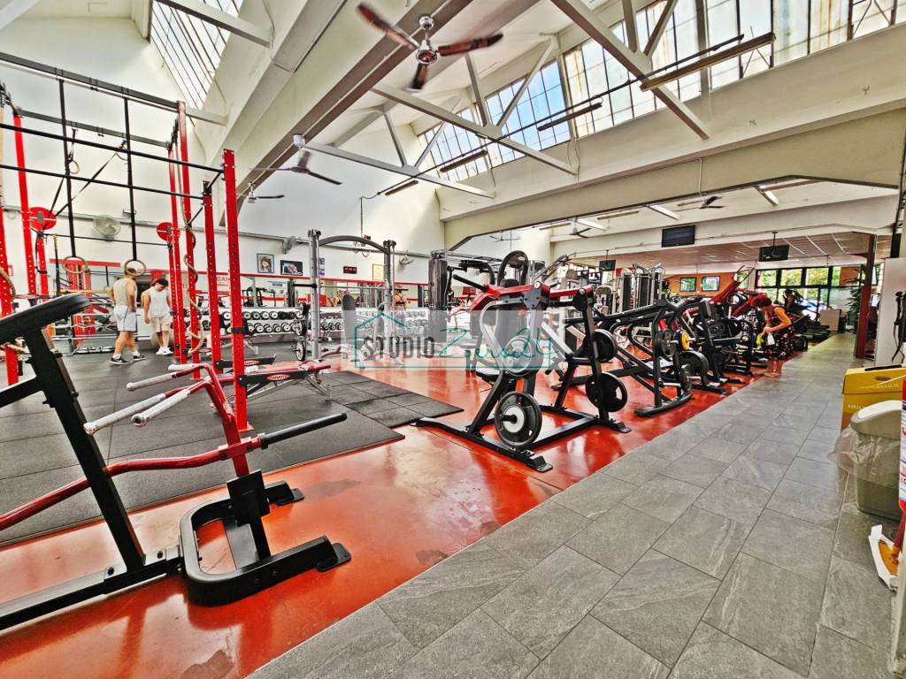 immagine annuncio 4 di 14