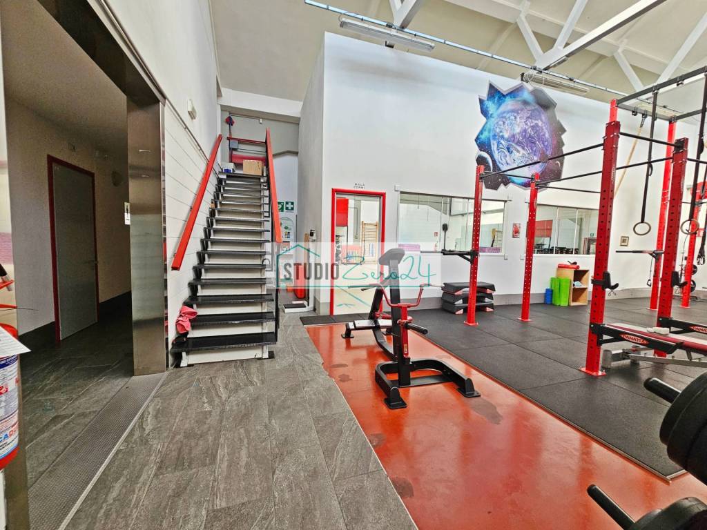 immagine annuncio 5 di 14