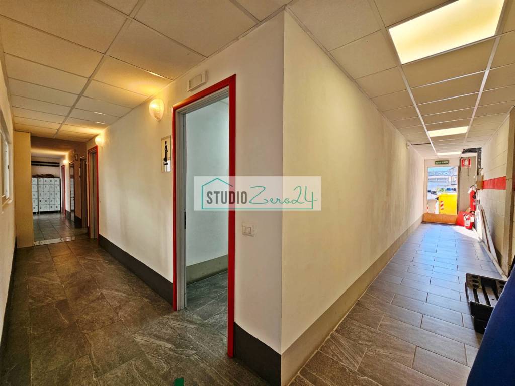 immagine annuncio 9 di 14