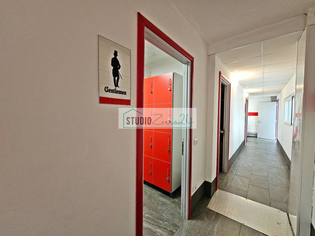 immagine annuncio 11 di 14