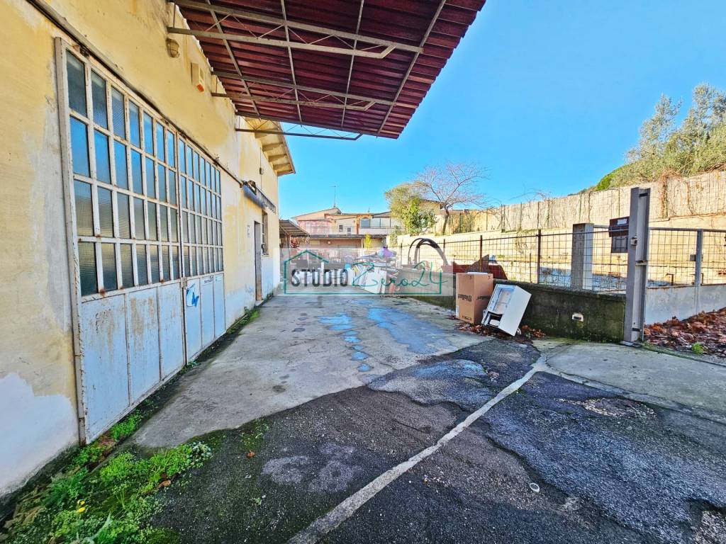 immagine annuncio 1 di 14