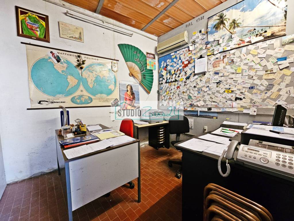 immagine annuncio 6 di 14