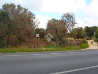 Terreno agricolo in vendita a carovigno contrada colacurto